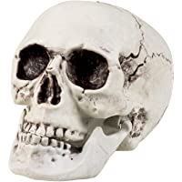 Boland-29320 Decoración Cráneo Maxilla con mandíbula abierta- multicolor (Ciao Srl 29320)